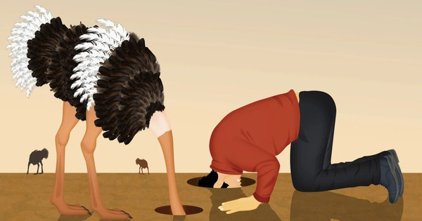 Con người càng lớn tuổi càng có xu hướng chọn sự ngu dốt có chủ đích image 23 1759719310833108943130 1759743843372 17597438438351236080841 38 0 788 1200 crop 1759743867743304975703jpg