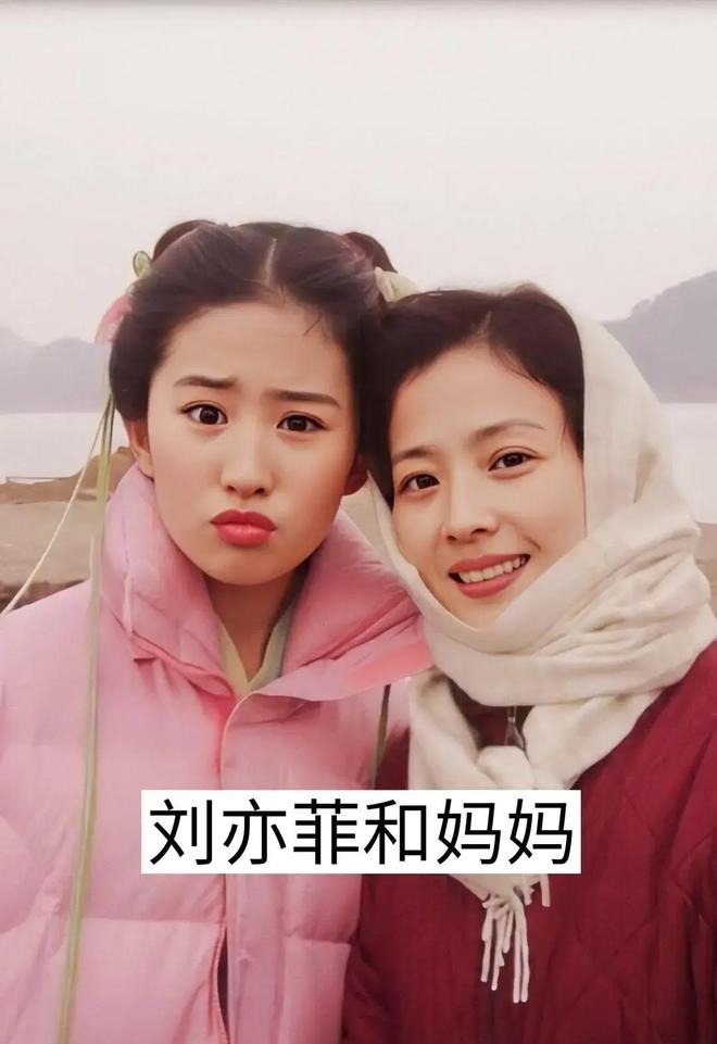 Không ai dám cưới Lưu Diệc Phi- Ảnh 5.