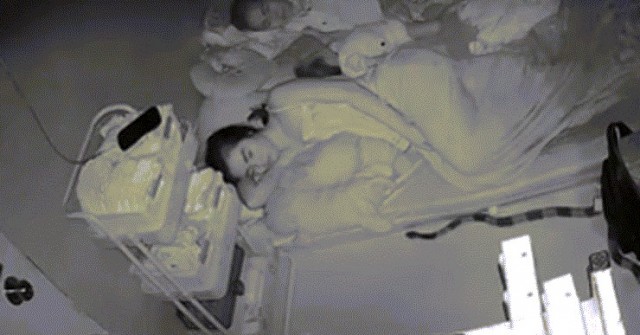 Rắn độc gần 2m bò sát mép đệm lúc rạng sáng ở TPHCM, mẹ trẻ bình tĩnh xử lý image dai dien gif rang sang o tphcm me tre binh tinh xu ly 2331 1764162841 106 width740height495 gif2mp4 auto cropjpg 1