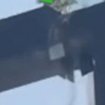 Người đàn ông nhảy qua cầu đứt gẫy để tìm vợ con trong động đất image dai dien gif sap gay de tim vo con giua con dong dat 12032 1743494145 336 width740height495 gif2mp4 auto cropjpg