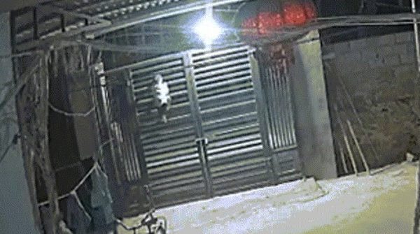 Thót tim cảnh bé trai 2 tuổi trèo cổng cao 2m ở Thanh Hóa 28 Thót tim cảnh bé trai 2 tuổi trèo cổng cao 2m ở Thanh Hóa image dai dien gif trai 2 tuoi treo cong cao 2m o thanh hoa 1311 1763632343 443 width740height495 gif2mp4 auto cropjpg