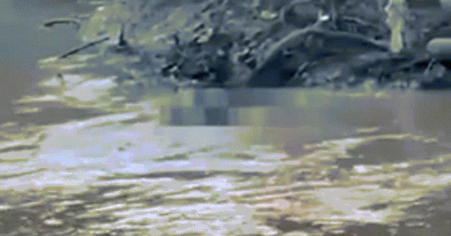 Nam sinh bị cá sấu ăn thịt khi đi câu image dai dien gifanthit 1752245248 621 width740height495 gif2mp4 auto cropjpg 1