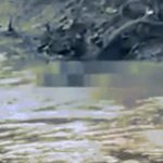 Nam sinh bị cá sấu ăn thịt khi đi câu image dai dien gifanthit 1752245248 621 width740height495 gif2mp4 auto cropjpg