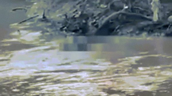 Nam sinh bị cá sấu ăn thịt khi đi câu 27 Nam sinh bị cá sấu ăn thịt khi đi câu image dai dien gifanthit 1752245248 621 width740height495 gif2mp4 auto cropjpg