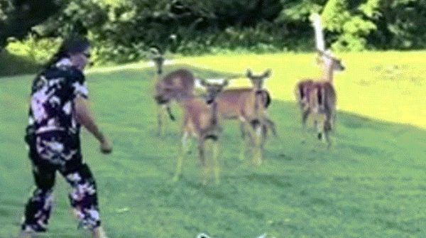 Cá sấu trả thù sau khi bị người phụ nữ ném dép image dai dien gifcasautrathu 1754107187 904 width740height495 gif2mp4 auto cropjpg