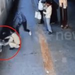 Rơi khỏi đoàn tàu đang rời ga, cô bé thoát chết trong gang tấc image dai dien gifgiphy468u 114845 1744275623 921 width740height495 gif2mp4 auto cropjpg