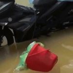 Giữa đêm ở Thái Nguyên, giật mình thấy nước ngập sát mép giường, đồ đạc trôi nổi image dai dien gifn giat minh thay nuoc ngap sat mep giuong 4148 1759885726 171 width740height495 gif2mp4 auto cropjpg