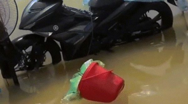 Giữa đêm ở Thái Nguyên, giật mình thấy nước ngập sát mép giường, đồ đạc trôi nổi 28 Giữa đêm ở Thái Nguyên, giật mình thấy nước ngập sát mép giường, đồ đạc trôi nổi image dai dien gifn giat minh thay nuoc ngap sat mep giuong 4148 1759885726 171 width740height495 gif2mp4 auto cropjpg