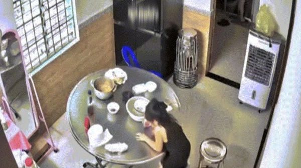 Phụ huynh muốn tăng xông khi trông 'búp măng non' nghỉ hè image dai dien gifnghhe2 1748916658 434 width740height495 gif2mp4 auto cropjpg