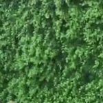 Cô gái 'phản đòn' công an giả danh bằng câu nói không ngờ; thanh niên bị lừa rời Hà Nội image dai dien gifoi khong ngo thanh nien bi lua roi ha noi 4369 1756370231 902 width740height495 gif2mp4 auto cropjpg