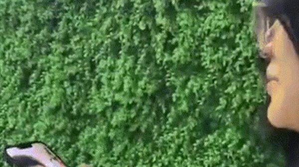 Cô gái 'phản đòn' công an giả danh bằng câu nói không ngờ; thanh niên bị lừa rời Hà Nội 28 Cô gái 'phản đòn' công an giả danh bằng câu nói không ngờ; thanh niên bị lừa rời Hà Nội image dai dien gifoi khong ngo thanh nien bi lua roi ha noi 4369 1756370231 902 width740height495 gif2mp4 auto cropjpg