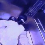 Hành động gây bức xúc của người phụ nữ tại thang máy chung cư ở Hà Nội image dai dien gifoi phu nu tai thang may chung cu o ha noi 3436 1759216611 888 width740height495 gif2mp4 auto cropjpg