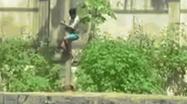 Cố trèo vào chuồng sư tử, chàng trai ngay lập tức bị cắn chết image dai dien gifsutucanchet 1764639969 195 width740height495 gif2mp4 auto cropjpg