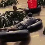 Vườn ngập sâu, nông dân bơi ra hái vét thanh long image dai dien gifthanlongngap 1764907070 886 width740height495 gif2mp4 auto cropjpg