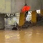 Khoảnh khắc ‘người hùng áo đen’ đu dây xuống dòng lũ dữ, cứu người bị cuốn trôi image dai dien gify xuong dong lu du cuu nguoi bi cuon troi 1902 1762416234 450 width740height495 gif2mp4 auto cropjpg