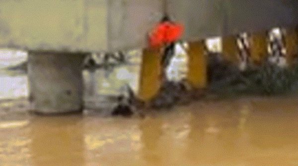 Khoảnh khắc ‘người hùng áo đen’ đu dây xuống dòng lũ dữ, cứu người bị cuốn trôi image dai dien gify xuong dong lu du cuu nguoi bi cuon troi 1902 1762416234 450 width740height495 gif2mp4 auto cropjpg