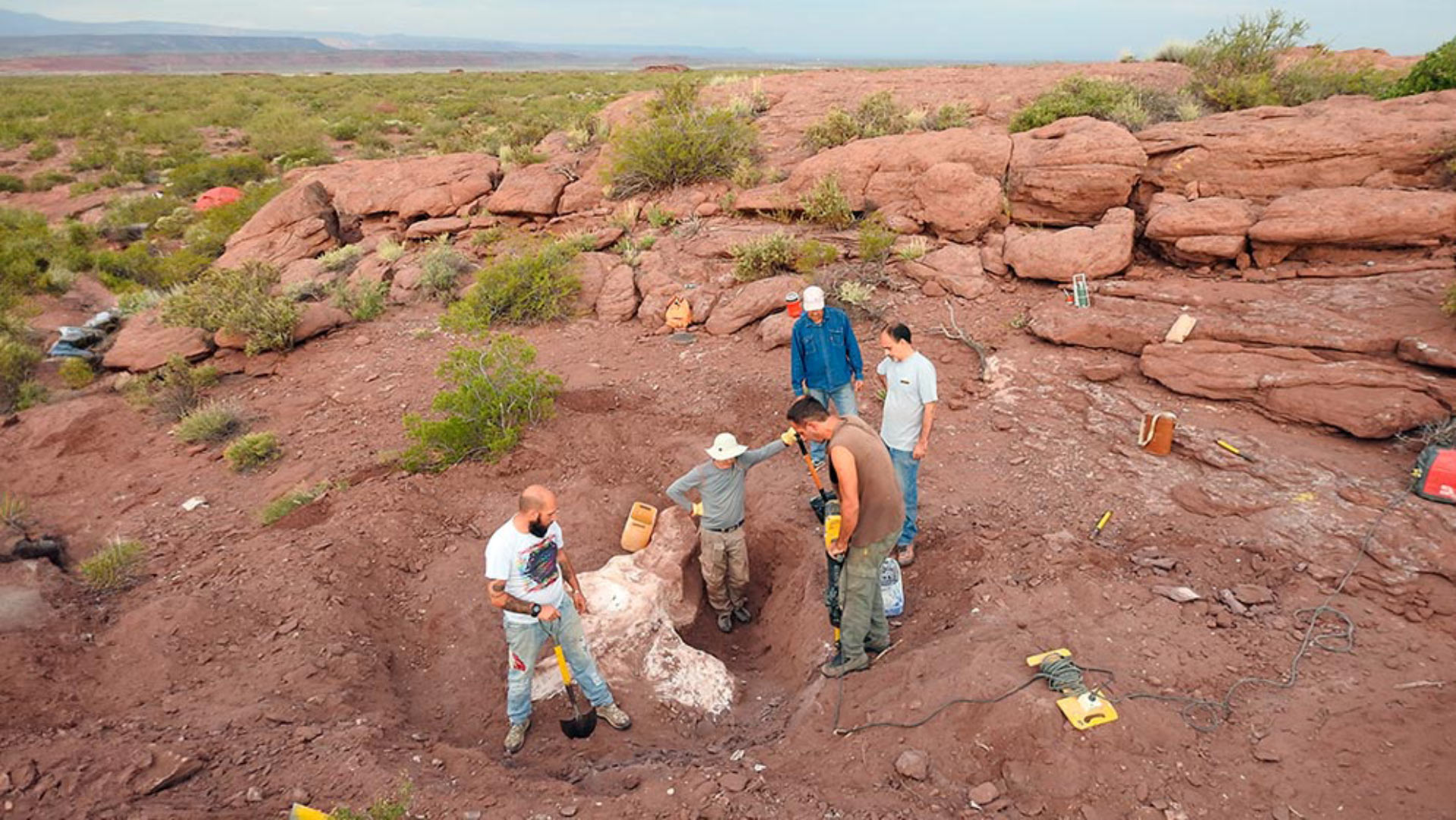 Khai quật một siêu quái vật chưa từng được biết đến trên thế giới- Ảnh 1. Khai quật một siêu quái vật chưa từng được biết đến trên thế giới- Ảnh 1.