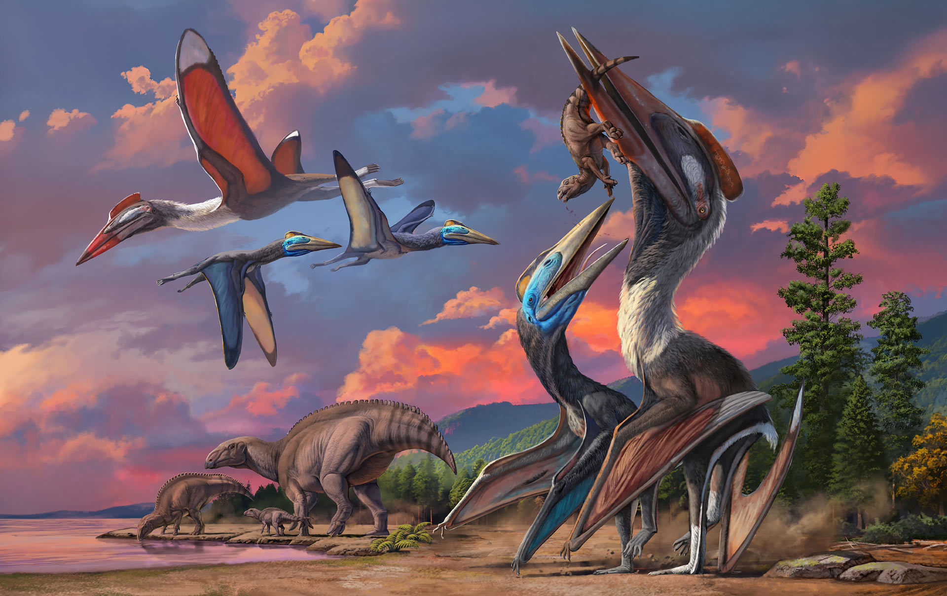 Hai quái vật bay chưa từng thấy