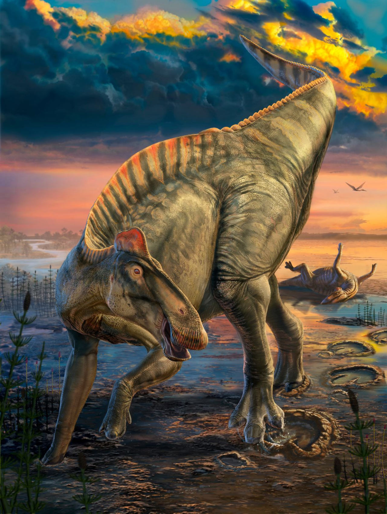 image14305e-edmontosaurus-annectens-17613563028271382785711-1761378996044-1761378996753165994543 "Xác ướp" quái vật dài 12 m gây sốc ở Mỹ image14305e edmontosaurus annectens 17613563028271382785711 1761378996044 1761378996753165994543