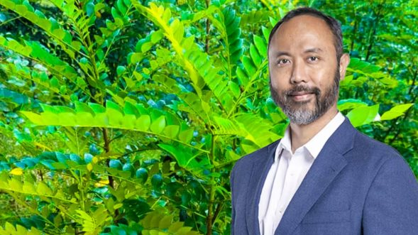 Phát hiện loại cây quý hiếm mọc ở đâu ‘kho báu’ ở đó, láng giềng Việt Nam trúng đậm thứ cả thế giới săn lùng, mở ra kỷ nguyên khai thác mới- Ảnh 1.