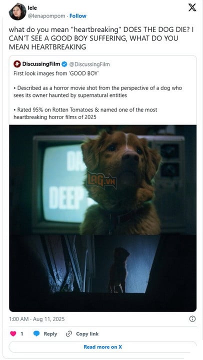 Chu cho trong phim kinh di Good Boy co qua doi o cuoi phim khong? 3 Chú chó trong phim kinh dị Good Boy có qua đời ở cuối phim không? 3