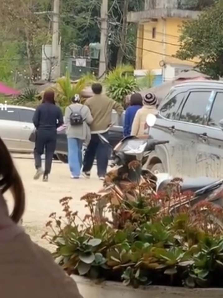 Diệp Lâm Anh bị