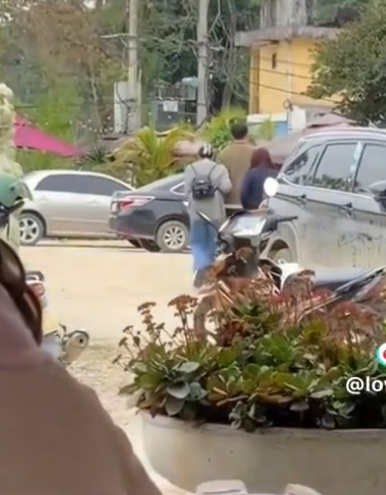 Diệp Lâm Anh bị