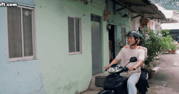 Phim Việt hay nhức nhối xứng đáng nổi tiếng hơn, đến cameo vài giây cũng diễn hay bùng nổ cõi mạng 25 Phim Việt hay nhức nhối xứng đáng nổi tiếng hơn, đến cameo vài giây cũng diễn hay bùng nổ cõi mạng img1283 1764218292233897379204 0 52 235 500 crop 17642183134541706175435gifpng