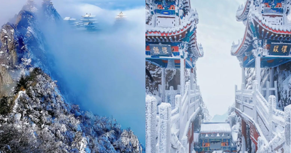 Khung cảnh "đường phân chia âm dương" đẹp đến nín thở, hai mùa cách nhau chỉ một sợi chỉ img5808 1761845071333294245275 0 0 300 480 crop 17618450779712011368268png