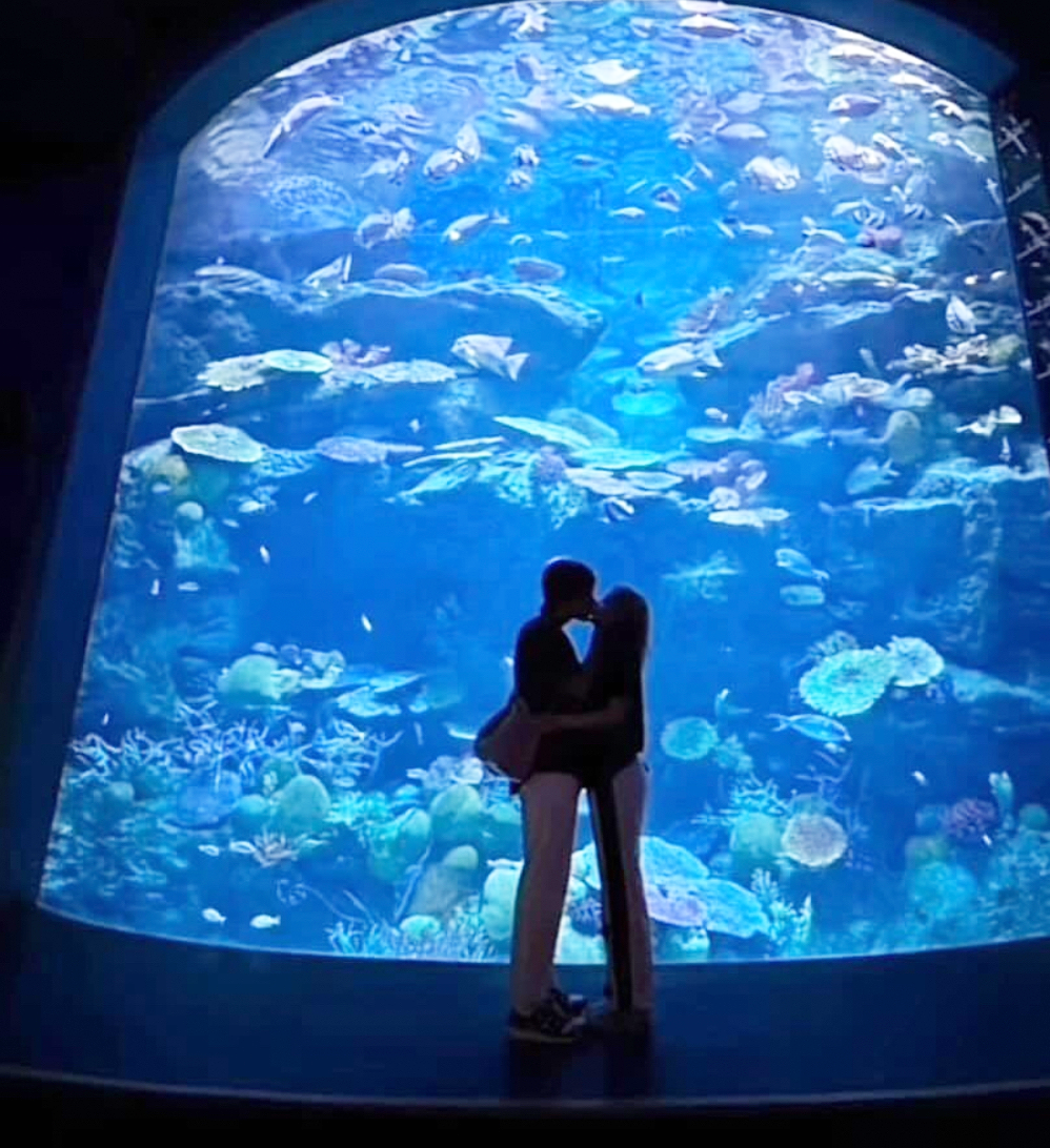 Không chỉ là chuyện học hành,