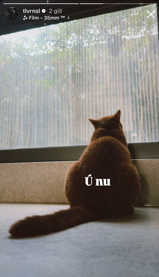 Tóc Tiên - Touliver đã không còn sống chung?- Ảnh 9.