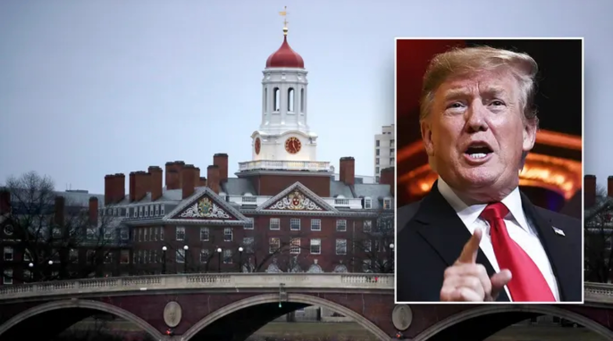 Tổng thống Donald Trump muốn Đại học Harvard làm rõ một chuyện- Ảnh 1.