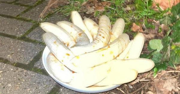 Đĩa chuối lột vỏ bí ẩn bên lề đường xuất hiện đúng đêm mùng 1 hàng tháng gây hoang mang tột độ img8473 17393776926771532158234 0 0 456 730 crop 17393776956741212583068jpeg