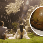 MXH náo loạn vì 1 nữ diễn viên bị tai nạn đến mất trí nhớ, 10 tháng đau đớn tưởng chết chẳng ai hay img9042 17528632063561721686582 0 0 602 1148 crop 17528632181071974209614gifpng