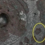 Đọc 3 chữ trên gương đồng của Vương Mãng: Chuyên gia giật mình "Hoàng đế này thực sự đến từ tương lai?" img9322 17417416885121528958927 1156 58 1489 591 crop 17417417092331555223178png