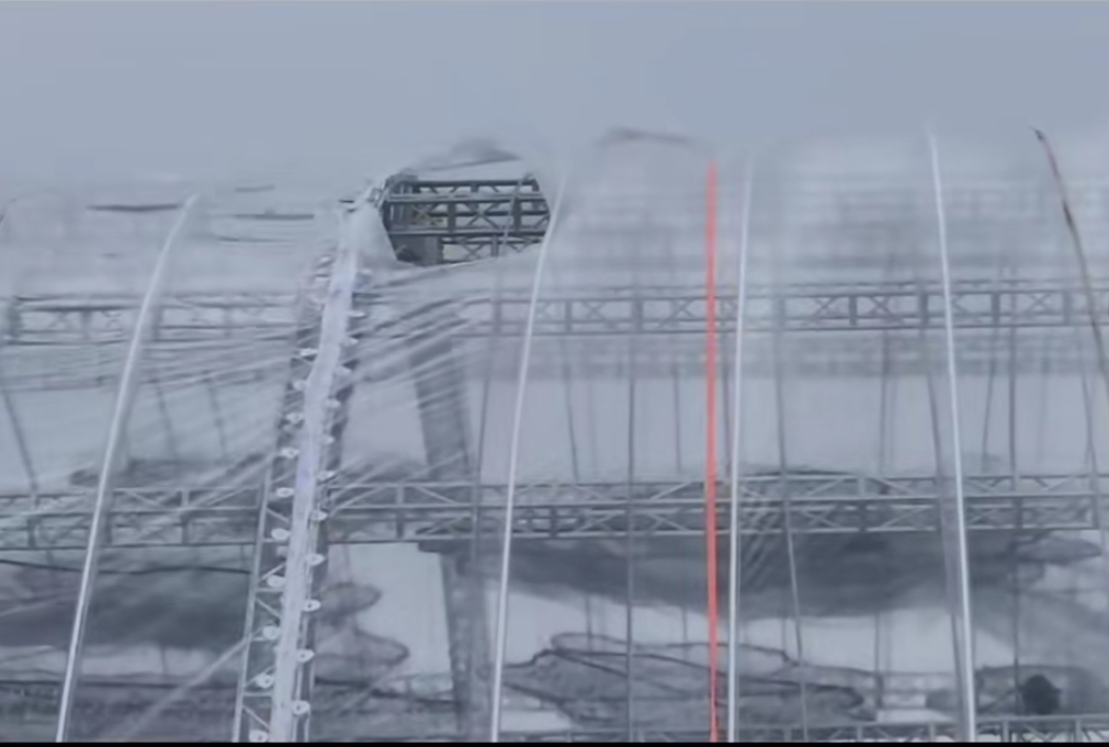 Trực tiếp đám cưới Đỗ Hà tại Quảng Trị: Lộ tình hình đáng lo trước giờ G- Ảnh 9.