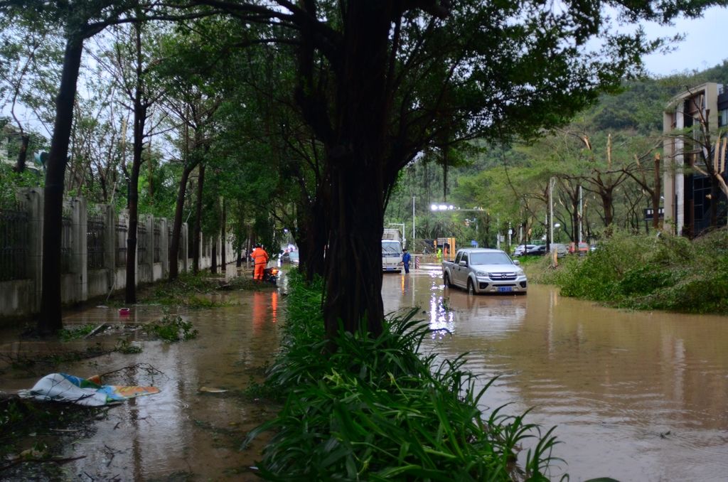 Cảnh tượng kinh hoàng khi bão số 5 (bão Kajiki) đổ bộ Trung Quốc: Cây đổ hàng loạt, giao thông tê liệt- Ảnh 2.