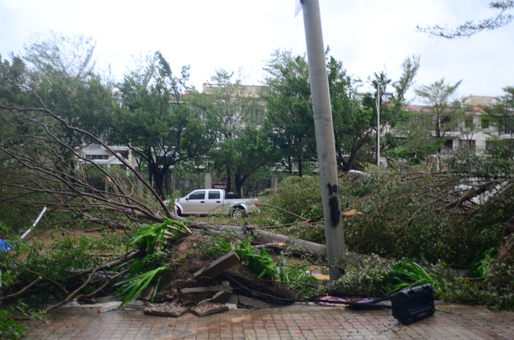 Cảnh tượng kinh hoàng khi bão số 5 (bão Kajiki) đổ bộ Trung Quốc: Cây đổ hàng loạt, giao thông tê liệt- Ảnh 3.