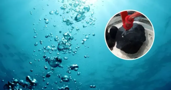 Khám phá chấn động về oxy lật ngược giả thuyết lâu đời về nguồn gốc sự sống trên Trái đất img9859 17425181564751765966869 1109 0 1915 1290 crop 1742518364145743170674png