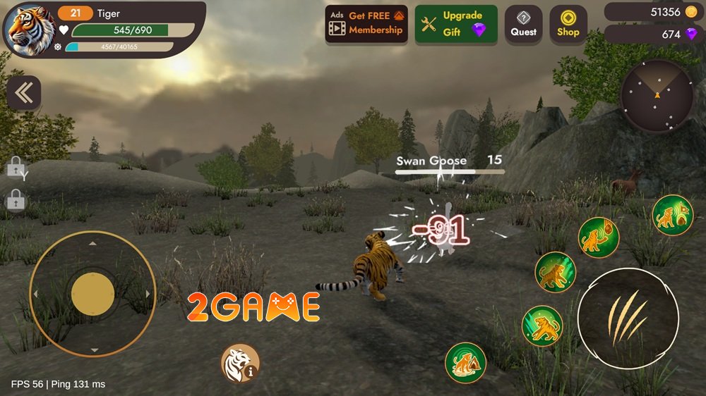 immortaltiger01 Thế giới hoang dã của Immortal Tiger: Hành trình sinh tồn không khoan nhượng immortaltiger01