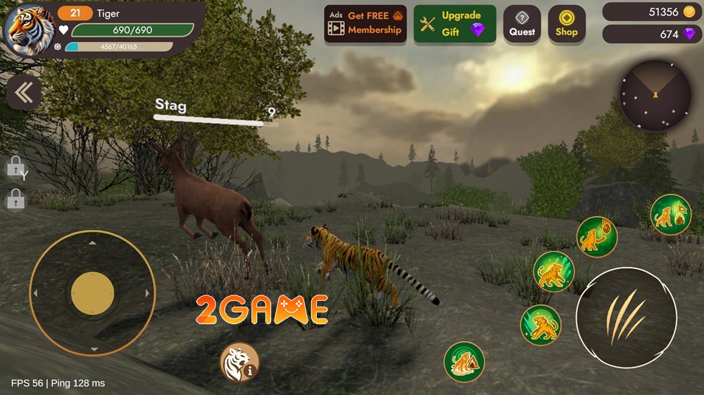 immortaltiger03 Thế giới hoang dã của Immortal Tiger: Hành trình sinh tồn không khoan nhượng immortaltiger03