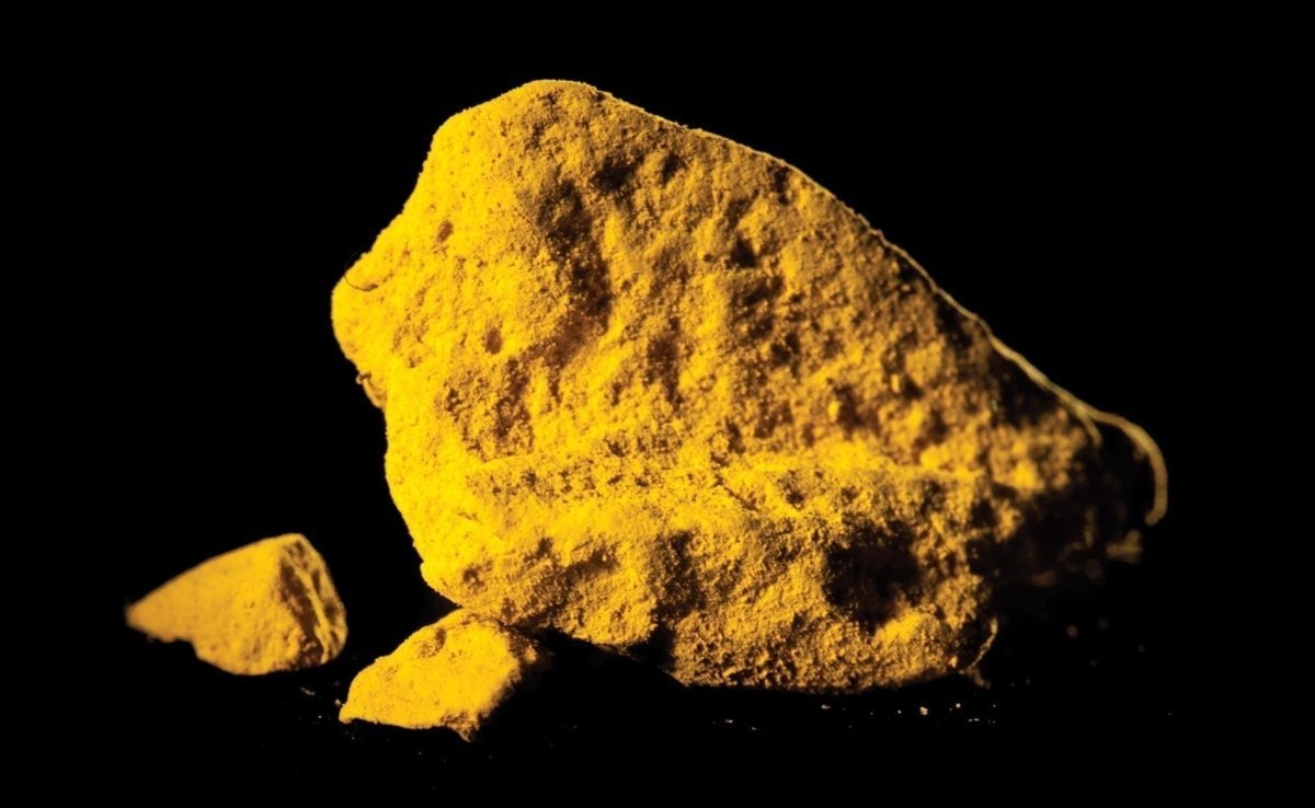 Sự thật khủng khiếp về