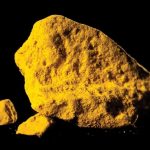 Sự thật khủng khiếp về "vàng Ấn Độ" indian yellow 9048273 17613814083321379129728 1761386892432 1761386892747391771642