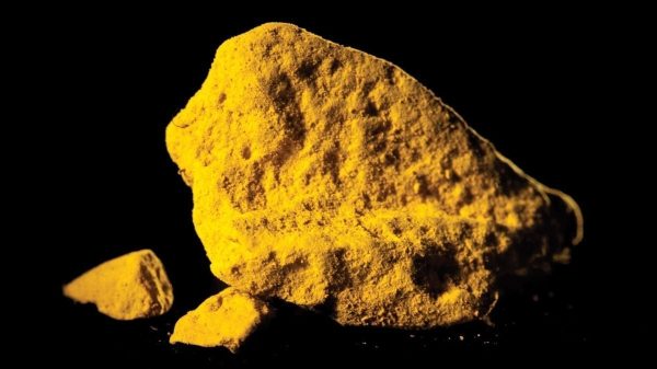 Sự thật khủng khiếp về "vàng Ấn Độ" indian yellow 9048273 17613814083321379129728 1761386892432 1761386892747391771642