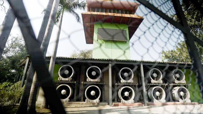 74/100: Con số kinh hoàng tại Ấn Độ- Ảnh 5. 74/100: Con số kinh hoàng tại Ấn Độ- Ảnh 5.