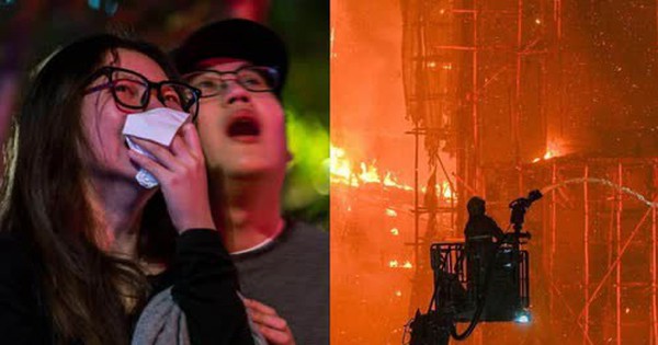 Showbiz Hong Kong đóng băng ipiccy image 1 1764239797888402915116 0 0 262 500 crop 17642400021951376364441jpg