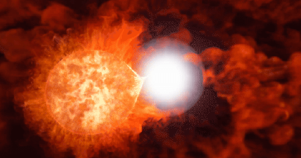 "Zombie" vũ trụ có thể nổ tung vào tháng 3: Xem cách nào? 26 "Zombie" vũ trụ có thể nổ tung vào tháng 3: Xem cách nào? k4u2avvacsavhvbegyohpj 1741061571659187130951 1741079780278 1741079780576441552498 0 32 450 752 crop 1741079840213327010850gifpng