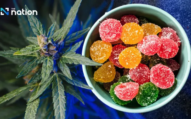 Bộ Y tế Thái Lan đã nhanh chóng ra lệnh thực hiện truy quét toàn quốc các loại thực phẩm, đồ uống, đồ ngọt tự chế, không rõ nguồn gốc chứa cần sa. (Ảnh: The Nation)