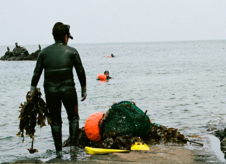 Hải nữ là nghề gì mà khiến IU