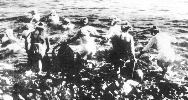 Hải nữ là nghề gì mà khiến IU